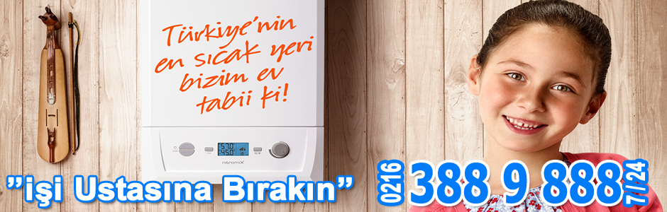 Gebze Demirdöküm Kombi Servisi
