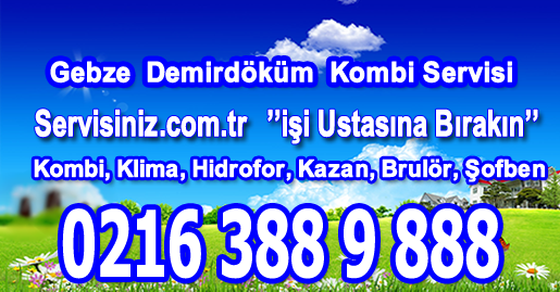 Gebze Demirdöküm Kombi Servisi